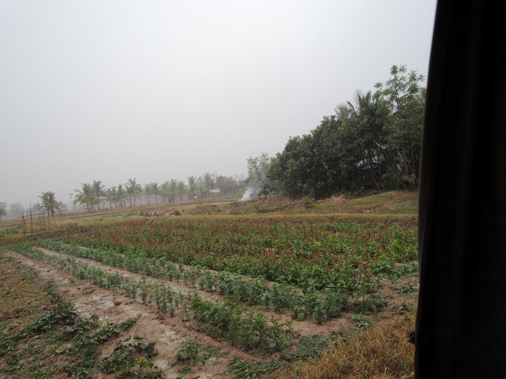Meas Family Homestay Angk Ta Saom Bagian luar foto